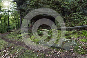 The famous Palatinate Forest in Germany