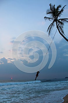 Famous palm tree at Delawella beach with a girl on swing in Sri Lanka at sunset