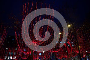 Champs-Elysees in the Christmas light