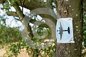 Famous Pathfinder aircraft sign seen attached to a tree.