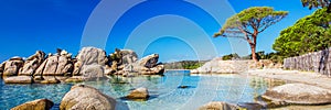 Famous Pine Tree with lagoon on Palombaggia beach, Corsica, France, Europe.