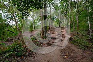 Famous place in Thailand , walk way to Phukadueng National park