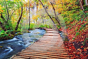 Famous Plitvice lakes with beautiful autumn colors and magnificent views of the waterfalls ,Plitvice national park