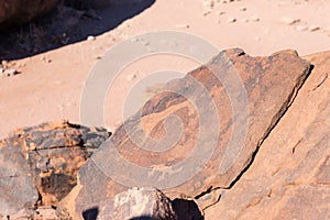 The famous prehistoric rock engravings