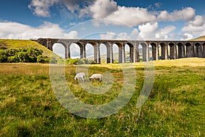 Famous Ribble Valley viaduct railway crossing seen in all its glory. photo