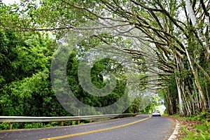 Famous Road to Hana fraught with narrow one-lane bridges, hairpin turns and incredible island views, curvy coastal road with views