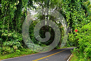 Famous Road to Hana fraught with narrow one-lane bridges, hairpin turns and incredible island views, curvy coastal road with views