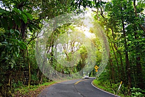 Famous Road to Hana fraught with narrow one-lane bridges, hairpin turns and incredible island views, curvy coastal road with views