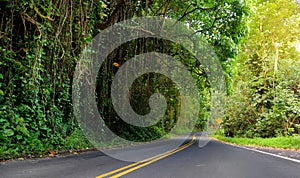 Famous Road to Hana fraught with narrow one-lane bridges, hairpin turns and incredible island views, Maui, Hawaii