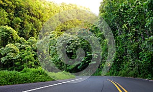 Famous Road to Hana fraught with narrow one-lane bridges, hairpin turns and incredible island views, Maui, Hawaii