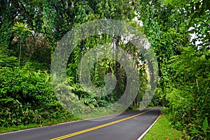 Famous Road to Hana fraught with narrow one-lane bridges, hairpin turns and incredible island views, Maui, Hawaii