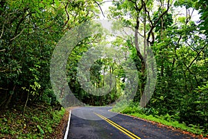 Famous Road to Hana fraught with narrow one-lane bridges, hairpin turns and incredible island views, Maui, Hawaii