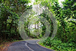 Famous Road to Hana fraught with narrow one-lane bridges, hairpin turns and incredible island views, Maui, Hawaii