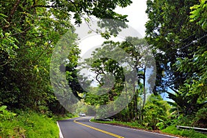 Famous Road to Hana fraught with narrow one-lane bridges, hairpin turns and incredible island views, Maui, Hawaii