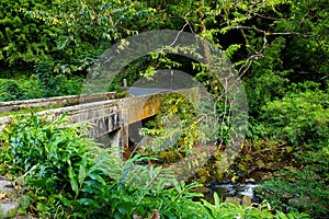 Famous Road to Hana fraught with narrow one-lane bridges, hairpin turns and incredible island views, Maui, Hawaii