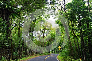 Famous Road to Hana fraught with narrow one-lane bridges, hairpin turns and incredible island views, Maui, Hawaii