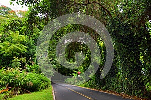 Famous Road to Hana fraught with narrow one-lane bridges, hairpin turns and incredible island views, Maui, Hawaii