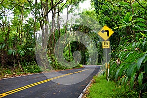 Famous Road to Hana fraught with narrow one-lane bridges, hairpin turns and incredible island views, Maui, Hawaii