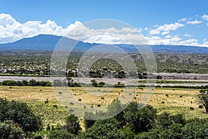 Famous Route 40 in Salta, Argentina.