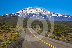 Highway road through Argentinia photo