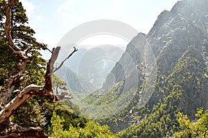 Famous Samaria Gorge, Crete