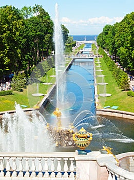 Famous Samson and Lion fountain in Peterhof
