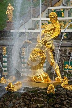 Famous Samson and Lion fountain in Peterhof Grand Cascade