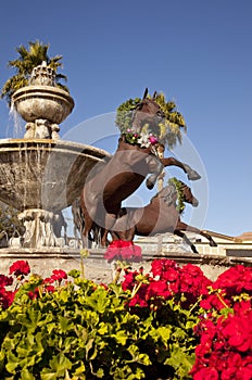 Famous Scottsdale Fountain photo