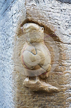 Famous sculpture of owl on Notre-Dame-de-Dijon