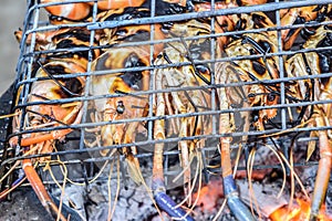 Famous seafood and People around the world well known : shrimp grilled bbq seafood on stove, Grilled River Prawns on the flaming.