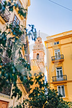 The famous small Cathedral church in Barcelona seen through a small tree alley. High quality photo