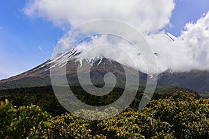 Famous snow capped Mount Taranaki in Egmont National Park