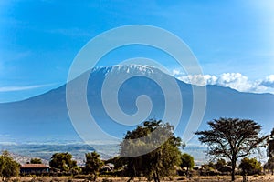 The famous snow peak of Kilimanjaro