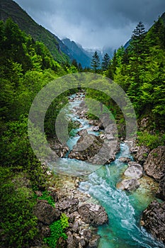 Famous Soca river in the fresh green forest, Bovec, Slovenia