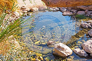 Famous source Ein Gedi