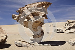 The famous stone tree rock formation (Arbol de Piedra) in the Siloli desert in the region of the Uyuni Salt Flat.