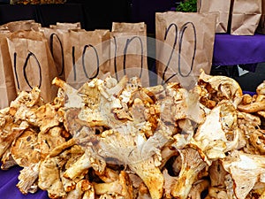 Famous Sunday Hollywood Farmers Market Chanterelle Mushroom Stand