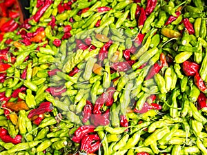 Famous Sunday Hollywood Farmers Market Chili Stand