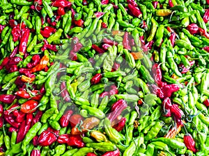 Famous Sunday Hollywood Farmers Market Chili Stand