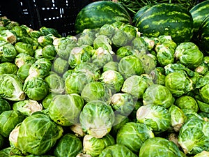 Famous Sunday Hollywood Farmers Market Stand Selling Brussel Sprouts