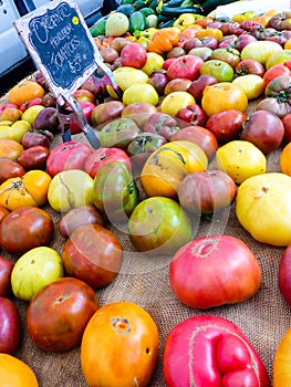 Famous Sunday Hollywood Farmers Market Vegetable Stand