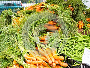 Famous Sunday Hollywood Farmers Market Vegetable Stand