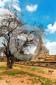 Famous temple area Wat Phra Si Sanphet, Former capital of Thailand in Ayutthaya