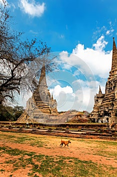 Famous temple area Wat Phra Si Sanphet, Former capital of Thailand in Ayutthaya