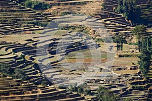 The famous terraced rice fields of Yuanyang in Yunnan province in China