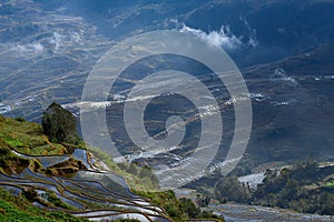 The famous terraced rice fields of Yuanyang in Yunnan province in China