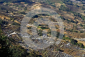 The famous terraced rice fields of Yuanyang in Yunnan province in China