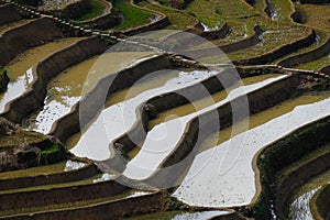 The famous terraced rice fields of Yuanyang in Yunnan province in China