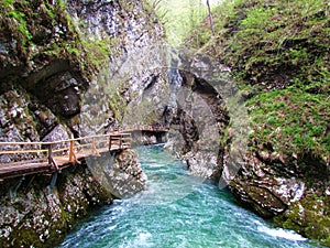 Famous touris destination Blejski Vintgar in Gorenjska, Slovenia photo