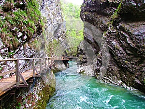 Famous touris destination Blejski Vintgar in Gorenjska, Slovenia photo